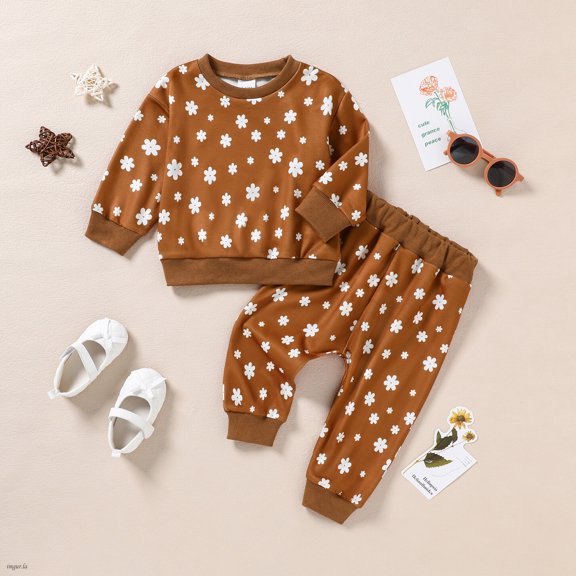 Toddler Baby Girl Clothes Long Sleeve Pullover Tops + Pants Set Floral Print Sweatsuit Fall Winter Outfits 6M-4T