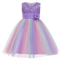 thumbnail image 1 of Toddler Baby Girl Flower Sequin Round Neck Sleeveless Dresses Rainbow Mesh Princess Dress Tutu Evening Dress, 1 of 9