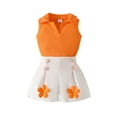 thumbnail image 1 of Toddler Baby Girl Summer Outfits Sleeveless Ribbed Lapel Tank Top Floral Shorts Infant 2 Piece Clothes Set, 1 of 9