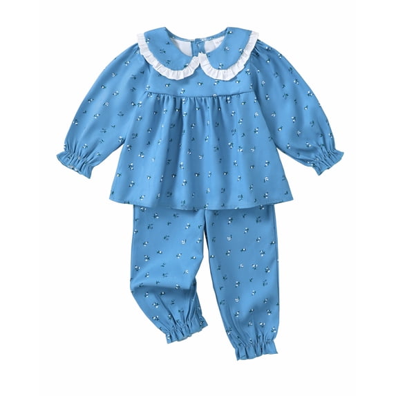 Toddler Baby Girls Clothes 4T Girls Fall Outfits 5T Girls Long Sleeve Peter-pan Collar Floral Top Pants 2PCS Set Blue