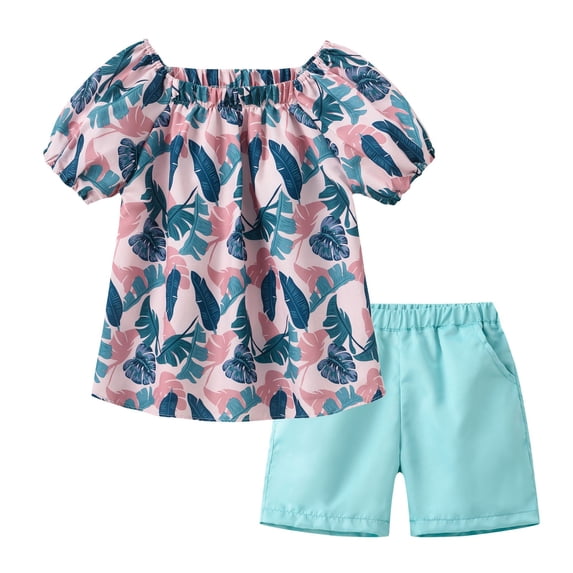 Toddler Baby Girls Clothes Short Sleeves T-Shirt Tops + Shorts Cute Summer Outfits Set Girls Summer Set 1-6 Years,2-3 Years