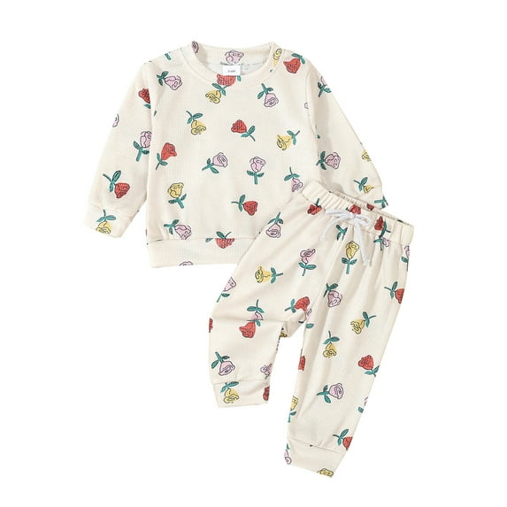 Toddler Baby Girls Fall Clothing Sets 3 6 12 18 24 Months 2T 3T Long Sleeve O Neck Flower Print Tops Drawstring Pants 2PCS Outfit
