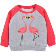 Toddler Baby Girls Flamingo Sweatshirts Casual Pullover Crew Neck Winter Long Sleeve Tops Shirts Clothes 4T
