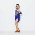 thumbnail image 1 of Toddler Baby Girls Sequin Fringe Latin Dance Dress with Gloves 3-4 Years, 1 of 5
