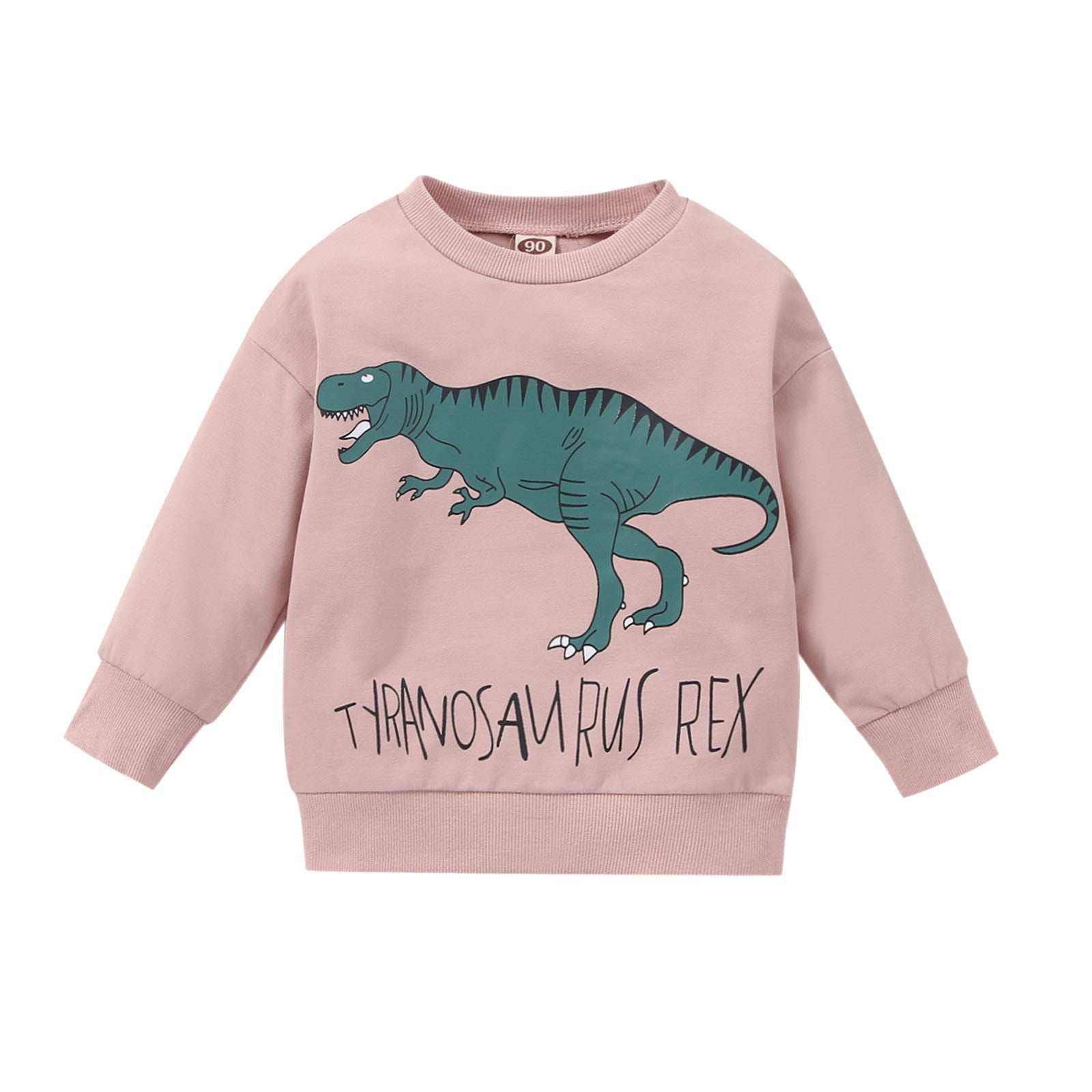 Toddler Baby Girls Sweatshirt Tops Outwear Pink Dinosaur Prints For