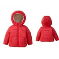 thumbnail image 1 of Toddler Baby Girls Winter Coat,Little Boys Girls Puffer Coat with Hoods Lightweight Puffer Jacket for Toddler Baby Boys Child Puffer Jacket Toddler Winter Clothes, 1 of 6