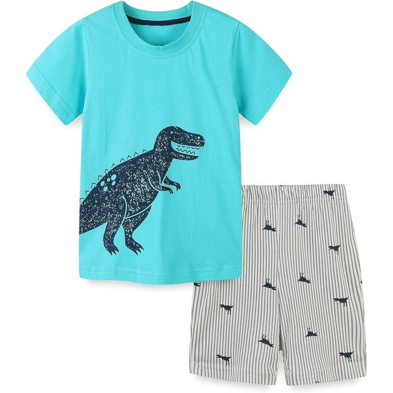 Toddler Boy Cotton Summer Short Sleeve T-Shirt and Short Set