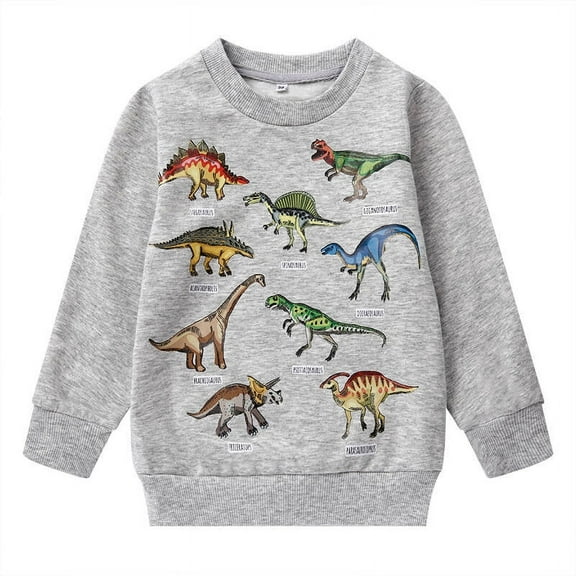 Toddler Boy Fall Clothes 2T Winter Cotton Dinosaur Sweatshirts (024-2)