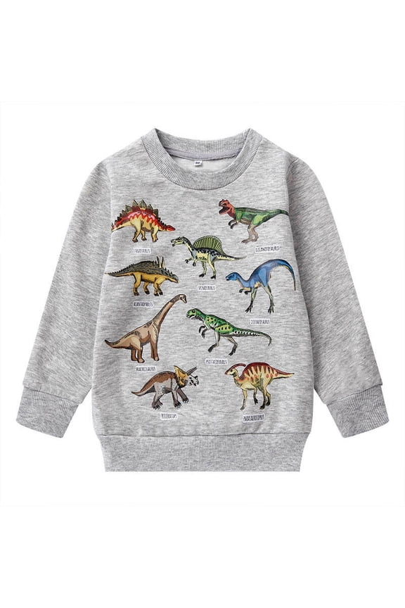 Toddler Boy Fall Clothes 2T Winter Cotton Dinosaur Sweatshirts (024-2)