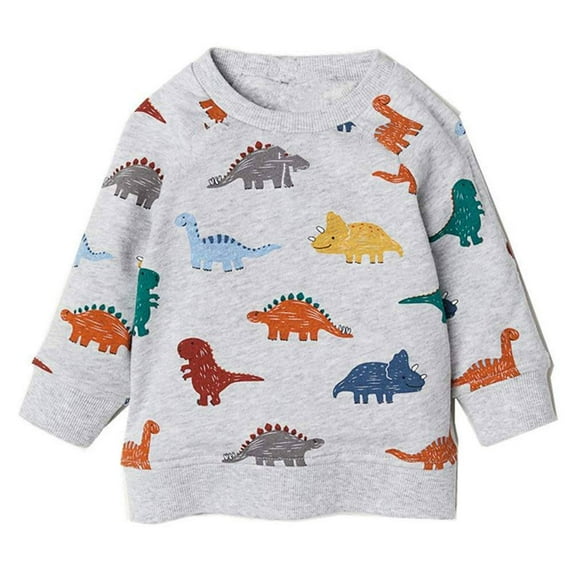 Toddler Boy Lightweight Crewnevk Pollover Sweatshirts Fall Long-Sleeve Shirt Size 6 (005)