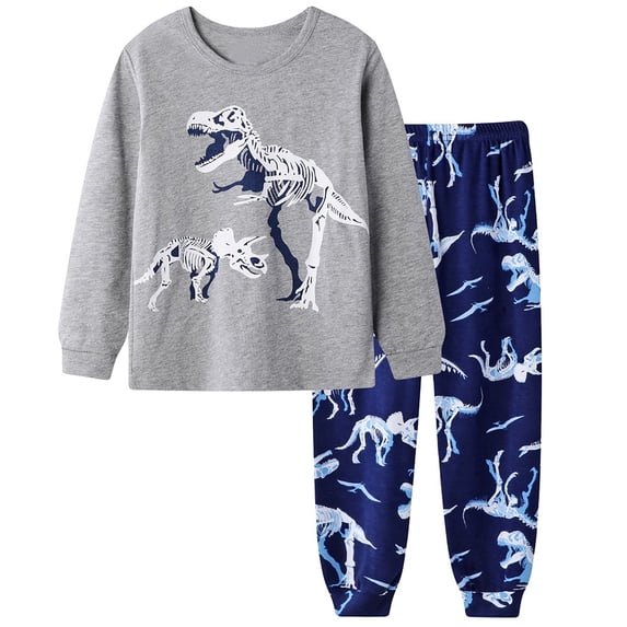 Toddler Boy Outfits 2 Piece Dinosaur Print Long Sleeve Crew Neck Top And Jogger Pants Loungewear Boys' Clothing Sets Size 3-4 Years