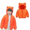 thumbnail image 1 of Toddler Boy Winter Coat Puffer Jacket Kids Zipper Long Sleeve Kids Warm Winter Coat Outerwear Hooded Down Jacket Toddler Girls Clothes 2-3 Years, 1 of 4
