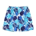 thumbnail image 1 of Toddler Boys Beach Swim Trunks With Flat Waistband Summer Surf Shorts Pool Ocean For Child 3-4T, 1 of 7