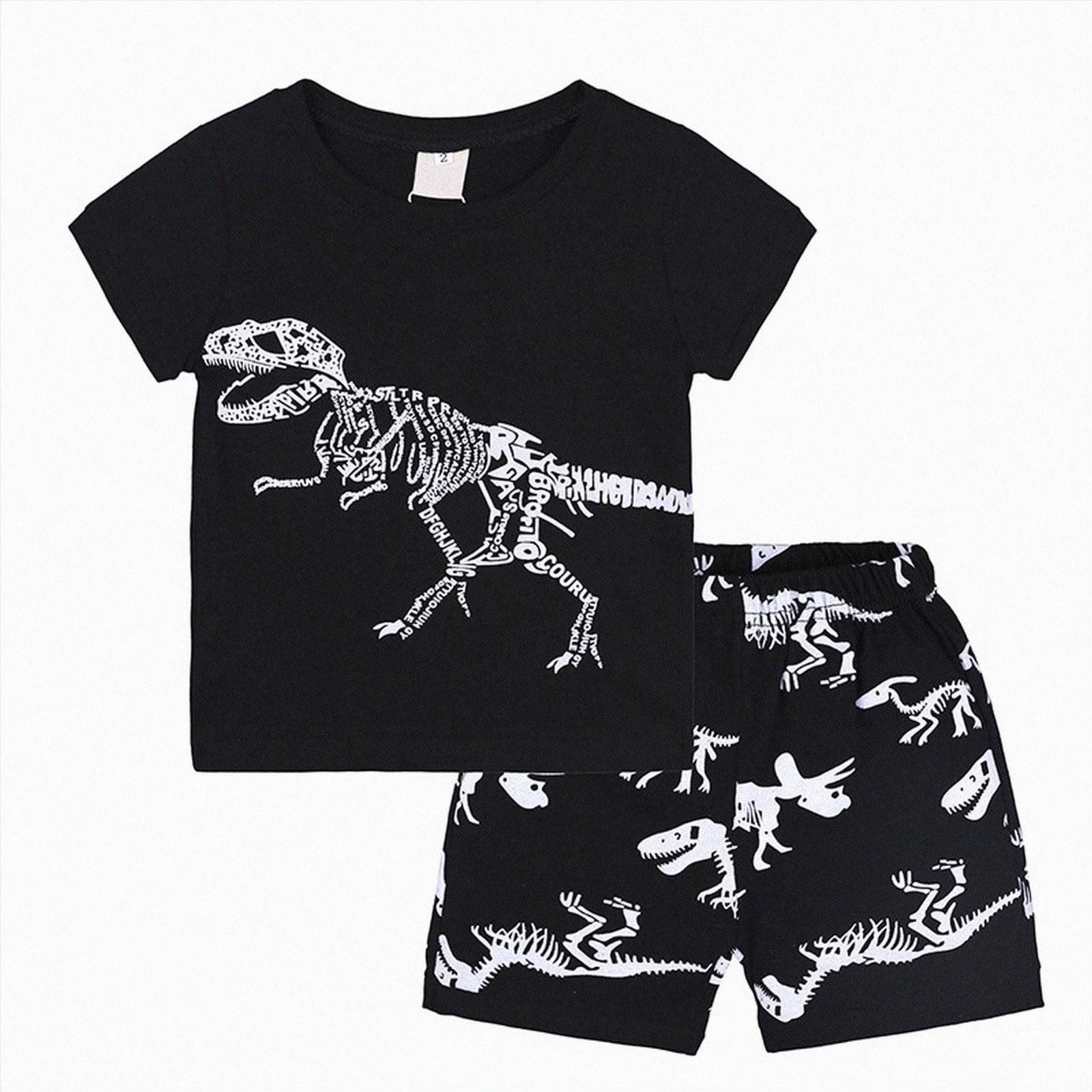 Toddler Boys Clothes Baby Boy Outfit Sets Baby Boy Summer Clothes 12 18 24 Month 3T 4T 5T Toddler Boy Outfits Dinosuar Set Kaprioy