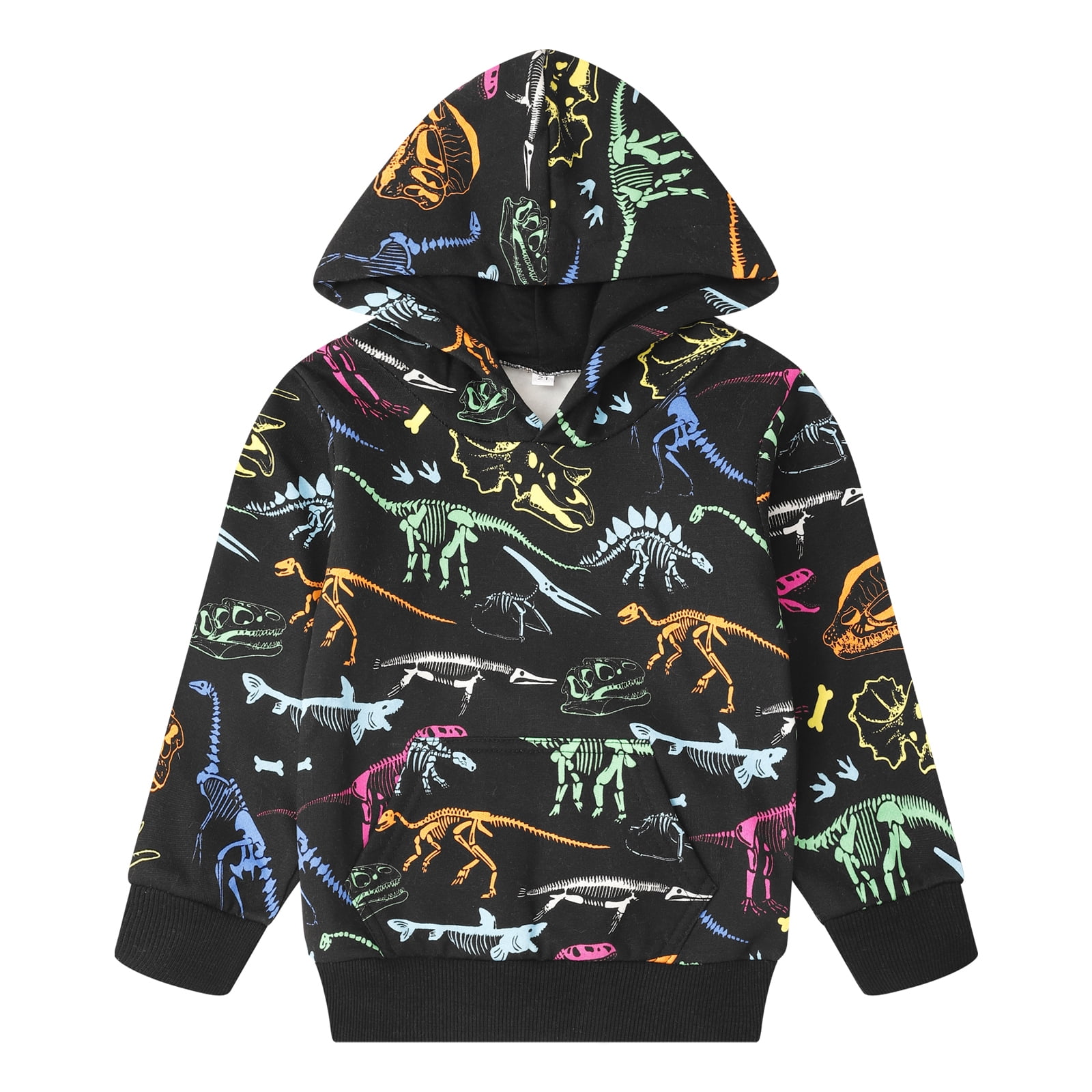 Toddler Boys Dinosaur Hooded Sweatshirts Casual Pullover Hoodie Fall