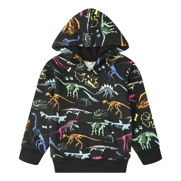 Toddler Boys Dinosaur Hooded Sweatshirts Casual Pullover Hoodie Fall Winter Long Sleeve Cartoon Tops Casual Clothes 5T (Dino-145)