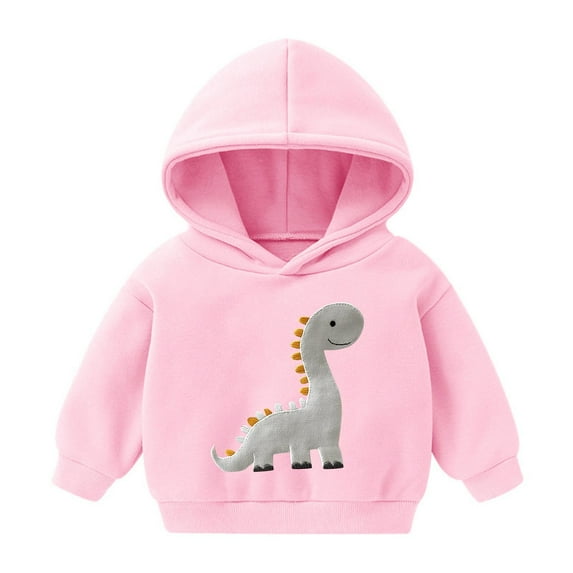 Toddler Boys Dinosaurs Hoodie Loose Fitting Basic Pullover Hooded Sweatshirt Fall Winter Warm Clothes Sweatshirt Girl Drawstring 2Y