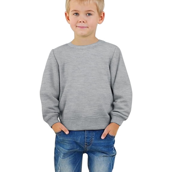 Toddler Boys Girls Crewneck Sweatshirts Kids Cute Fall Loose Hoodies Y2K Comfy Fleece Pullover Classic Casual Warm Tops