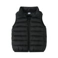 thumbnail image 1 of Toddler Boys Girls Cute Coat Unisex Baby Vest Stand Up Collar Zip Up Sleeveless Winter Fall Boys Girls Clothes Size 4-5T, 1 of 7