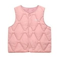thumbnail image 1 of Toddler Boys' Girls' Gilets Kids Waistcoat Thermal Windproof Gilet Lightweight Warm Puffer Short Coats Sleeveless Padded Cropped Jacket Solid Button Down Outwear Fall Winter Pink 9-10 Years, 1 of 4