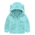 thumbnail image 1 of Toddler Boys Girls Hooded Jacket Hoodie Winter Warm Solid Color Teddy Coat Zip-up Bear Ear Sweater Fall Clothes(Color:Light blue,Size:18-24 Months), 1 of 3