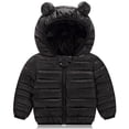 thumbnail image 1 of Toddler Boys Girls Puffer Jackets Coats Kids Winter Warm Hooded Coat Outwear 2-7T, 1 of 2