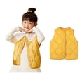 thumbnail image 1 of Toddler Boys Girls Puffer Vest Boys Winter Vest Lightweight Water-Resistant Button Down Cute Jacket Sleeveless Toddler Winter Jacket 12-24 Months, 1 of 7