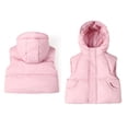 thumbnail image 1 of Toddler Boys Girls Puffer Vest Toddler Girls Winter Vest Hooded Jacket Sleeveless Windproof Down Jacket Baby Winter Jacket for Girls 1-2 Years, 1 of 5