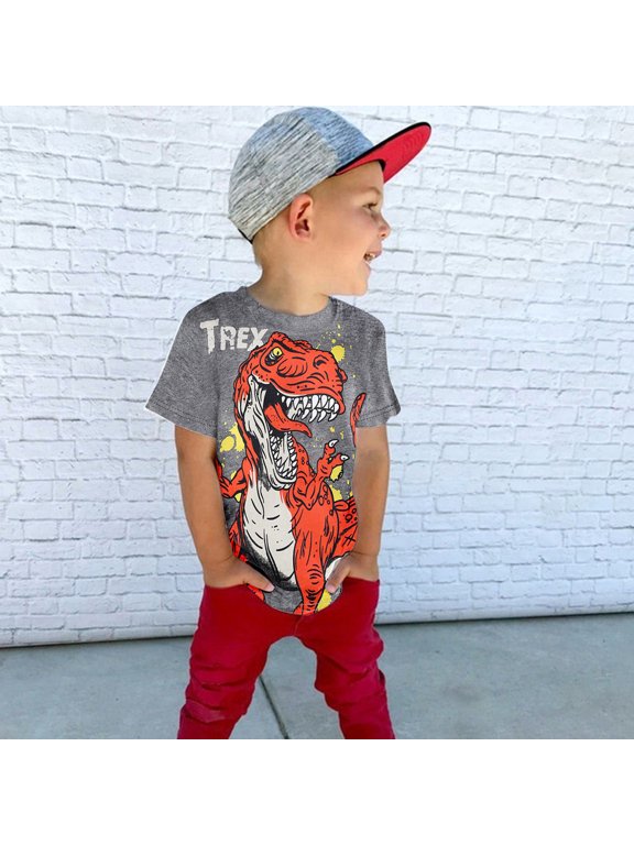 Toddler Boys Girls Short Sleeve T-Shirt 3D Dinosaur T-Rex Print Crew Neck Casual Summer Tops For Kids Ages 1-7 Years
