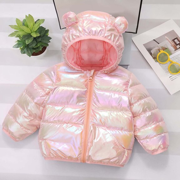 Toddler Boys Girls Winter Down Coat Bear Ear Cute Jackets Thicken Windproof Zipper Warm Puffer Coat Toddler Winter Coat 2-3 Years