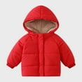 thumbnail image 1 of Toddler Boys Girls Winter Down Coat Cute Hooded Jackets with Pockets Lightweight Down Jacket Toddler Winter Warm Outerwear 18-24 Months, 1 of 7