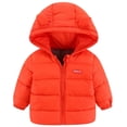thumbnail image 1 of Toddler Boys Girls Winter Puffer Jackets With Ears Kids Hooded Coats Outerwear 1-5Y, 1 of 6