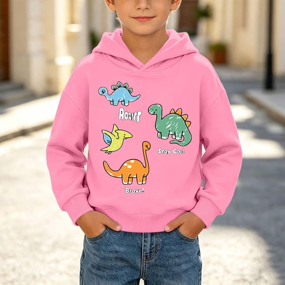 Toddler Boys Graphic Hoodie Cute Pullover Long Sleeve Casual Kids Cotton Sweatshirt Pink 6 T
