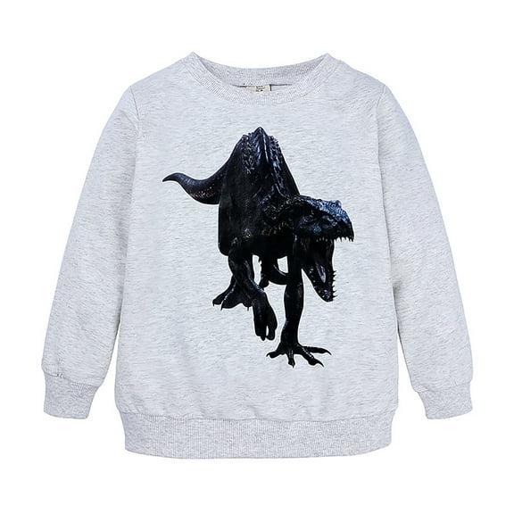 Toddler Boys Graphic Sweatshirt Fall Winter Dinosaur Printed Crewneck Pullover Sweatshirts