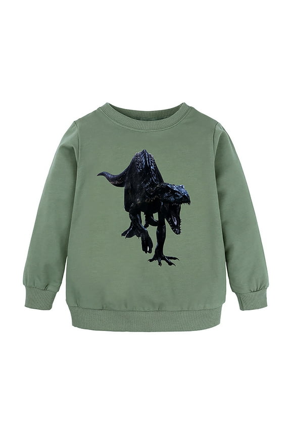 Toddler Boys Graphic Sweatshirt Fall Winter Dinosaur Printed Crewneck Pullover Sweatshirts