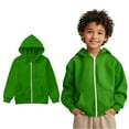thumbnail image 1 of Toddler Boys Hoodies Lightweight Long Sleeve Hoodies with Zipper Green Hoodies Pocket kids Fall Clothes Little Girls Clothes3T, 1 of 7