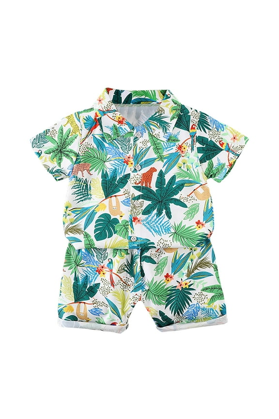 Toddler Boys Outfit Sets Coconut Tree Print Button Down T-Shirt And Shorts Set Kids Boy Summer Beach Stylish Outfit Sets,2Pice，2 -3 Years