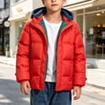 thumbnail image 1 of Toddler Boys Puffer Jacket with Fleece Lined Hood Quilted Zip Up Warm Winter Coat Heavyweight Windproof Outerwear Long Sleeve with Pockets for Kids Outdoor Snow, Size 3-4 T, 1 of 5