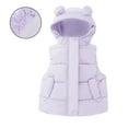 thumbnail image 1 of Toddler Boys Puffer Vest Hooded Jacket Boys Purple Vest Zipper Lightweight Sleeveless Bear Ears Windproof down Jacket Kids Girls Winter Vest 12-18 Months, 1 of 8