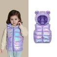 thumbnail image 1 of Toddler Boys Puffer Vest Hooded Jacket Purple Down Vest Zip up Sleeveless Bear Ears Lightweight Boys Puffer Jacket Kids Vest 2-3 Years, 1 of 9