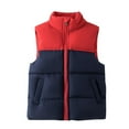 thumbnail image 1 of Toddler Boys Puffer Vest Jacket Color Block Puffer Vest Full-Zip Sleeveless Lightweight Kids Puffer Jacket Fall Winter Clothes 3-4 Years, 1 of 7