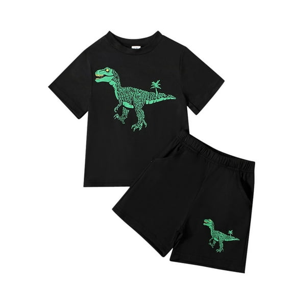 Toddler Boys Summer Outfits Short Sleeve Dinosaur T Shirts Tops Shorts Clothes Set 2-7T