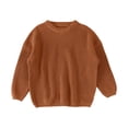 thumbnail image 1 of Toddler Boys Sweaters Size 0-3 Months Knit Crew Neck Long Sleeve Pullover Fall Winter Brown Kids Clothing, 1 of 5