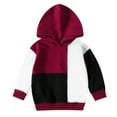 thumbnail image 1 of Toddler Boys Sweatshirts Fall Long Sleeve Color Block Hooded Sweater Kids Pullover Tops Clothes for Boy Size 12-18 Months, 1 of 8