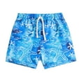 thumbnail image 1 of Toddler Boys Swim Trunks Quick Dry Boys Swim Shorts with Mesh Liner Beach Boys Bathing Suit 18M Blue, 1 of 7
