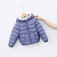 thumbnail image 1 of Toddler Boys Winter Coat,Kids Puffer Jacket With Pocket Zip up Winter Hoodies Coat Solid Color Long Sleeve Toddler Puffer Jacket Boys Coats Size 2-3 Years, 1 of 4