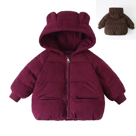 Toddler Boys Winter Coat Puffer Jacket Kids Full-Zip Long Sleeve Soft Down Jacket Warm Hooded Outdoor Coats Baby Warm Clothes 3-4 Years