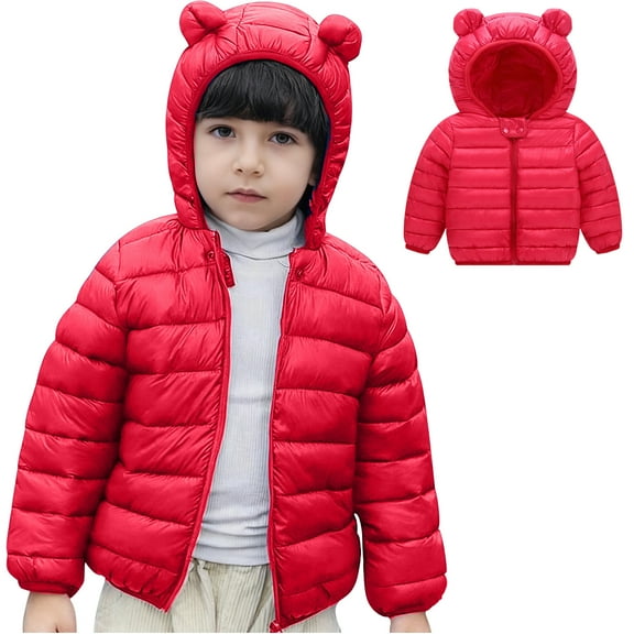 Toddler Boys Winter Coats Kids Puffer Jacket Zip up Long Sleeve Windproof Down Jacket Warm Bear Hooded Outdoor Coats Baby Winter Suit 3-4 Years