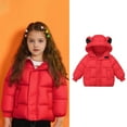 thumbnail image 1 of Toddler Boys Winter Coats Puffer Jacket Zip up Long Sleeve Windproof Jacket Outwear Bear Hooded Down Jacket Winter Jackets for Boys 3-4 Years, 1 of 5