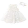 thumbnail image 1 of Toddler Clothing, Newborn Toddler Baby Girl Clothes Outfits Cute Embroidery Lace Mesh Princess Dress Set, 1 of 1